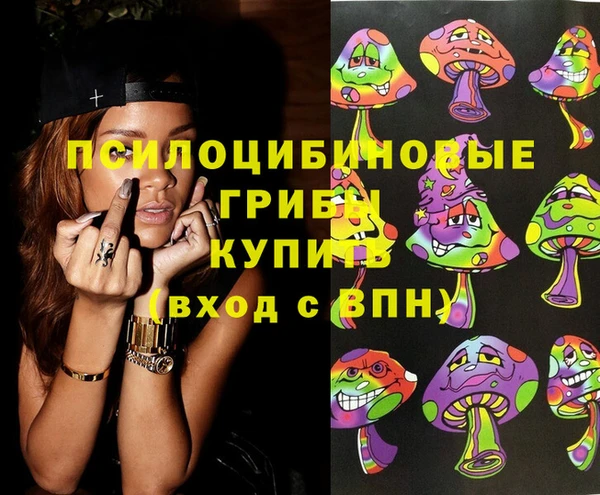 сатива Галич